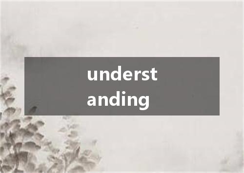understanding是什么意思