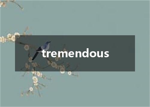 tremendous是什么意思