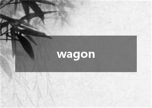 wagon是什么意思