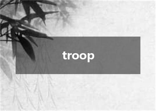 troop是什么意思