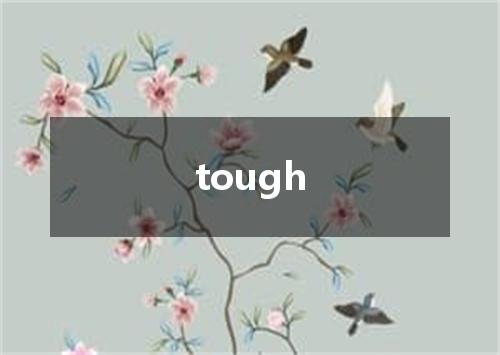 tough是什么意思