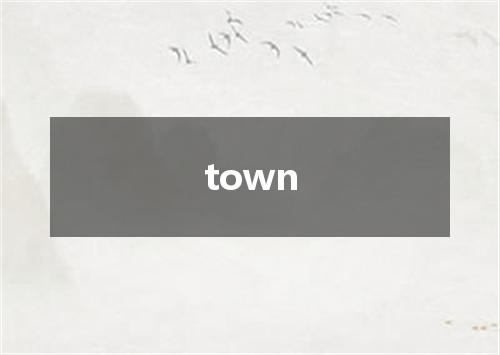 town是什么意思