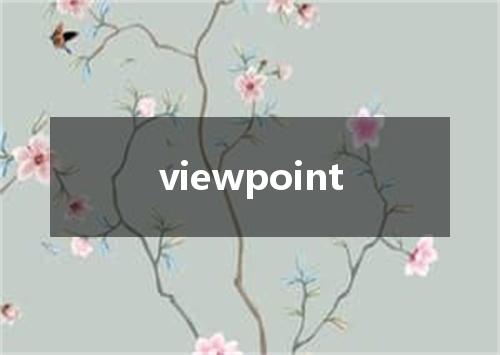 viewpoint是什么意思