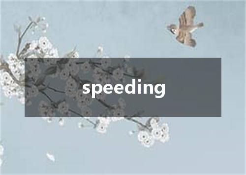speeding是什么意思