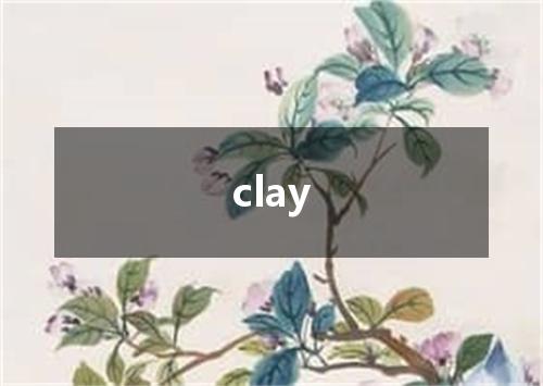 clay是什么意思