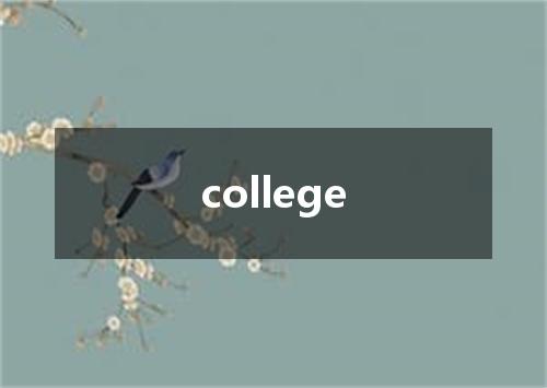 college是什么意思