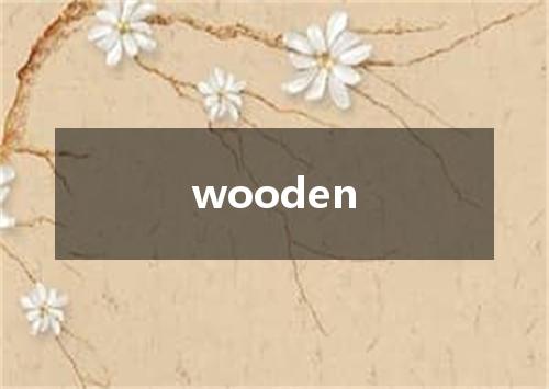 wooden是什么意思