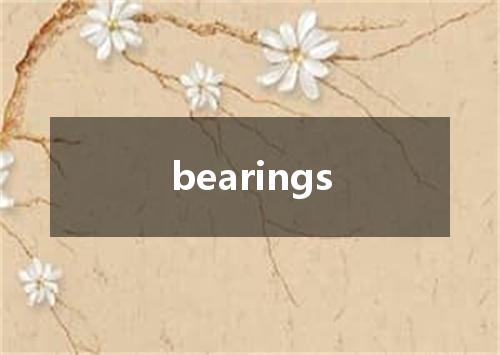 bearings是什么意思