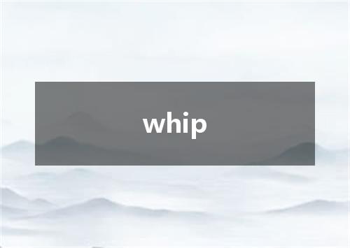 whip是什么意思
