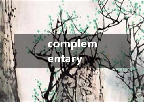 complementary是什么意思
