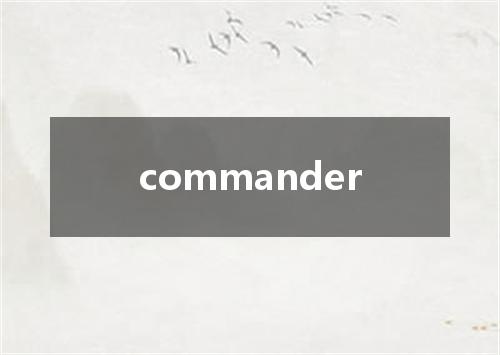commander是什么意思
