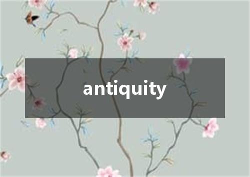 antiquity是什么意思