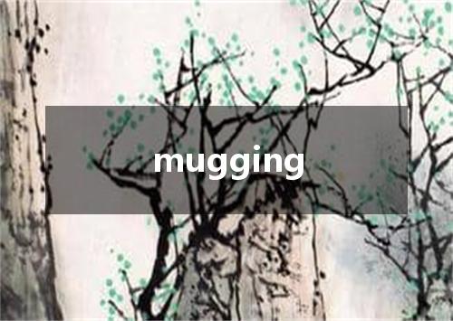mugging是什么意思