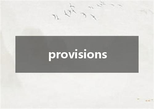 provisions是什么意思