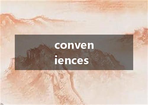 conveniences是什么意思