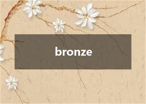 bronze是什么意思