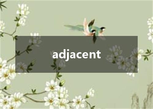 adjacent是什么意思
