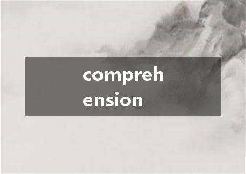 comprehension是什么意思