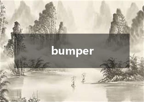 bumper是什么意思