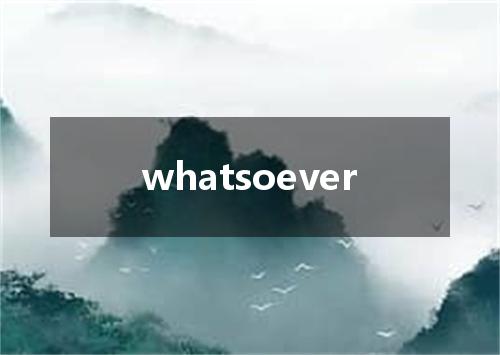 whatsoever是什么意思