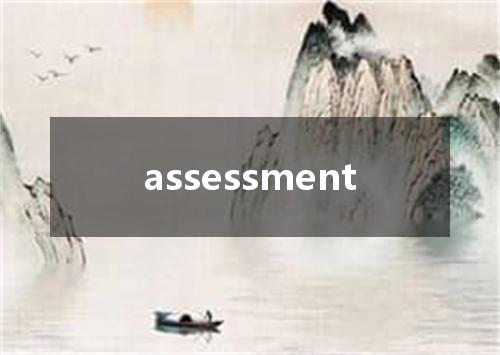 assessment是什么意思