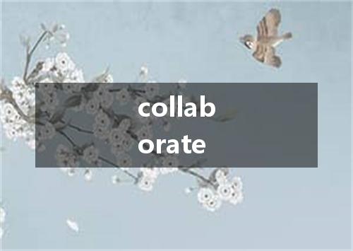 collaborate是什么意思