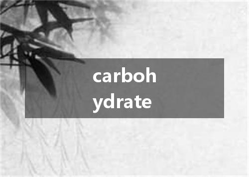 carbohydrate是什么意思