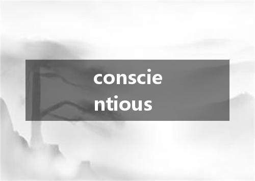 conscientious是什么意思