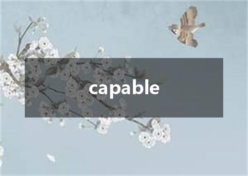 capable是什么意思