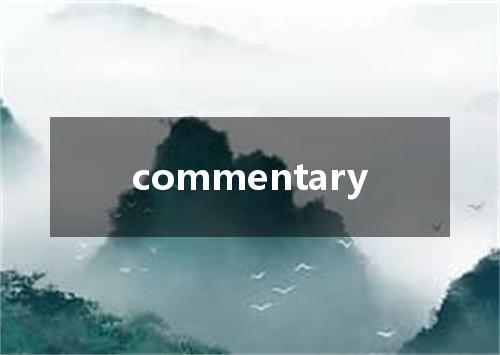 commentary是什么意思