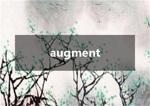 augment是什么意思