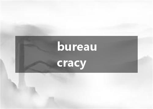 bureaucracy是什么意思