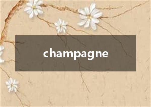 champagne是什么意思