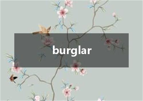 burglar是什么意思