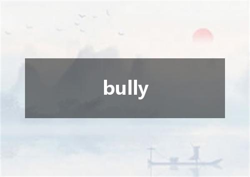 bully是什么意思