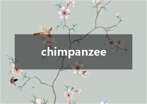 chimpanzee是什么意思