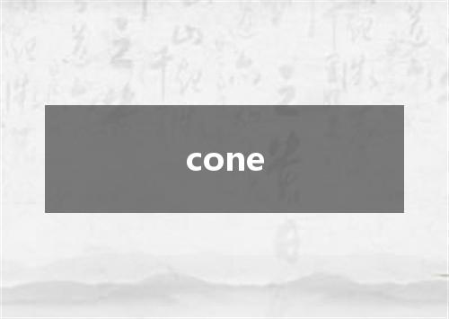 cone是什么意思