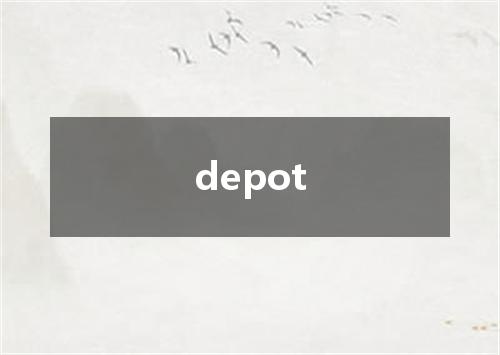 depot是什么意思