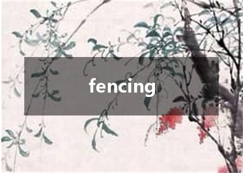fencing是什么意思