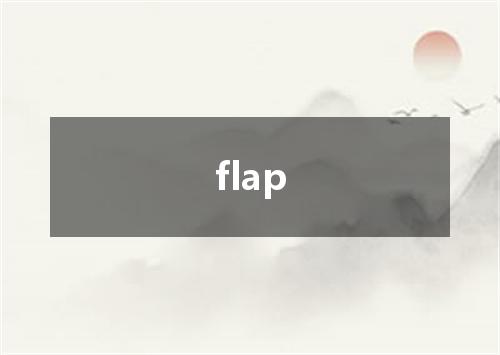 flap是什么意思