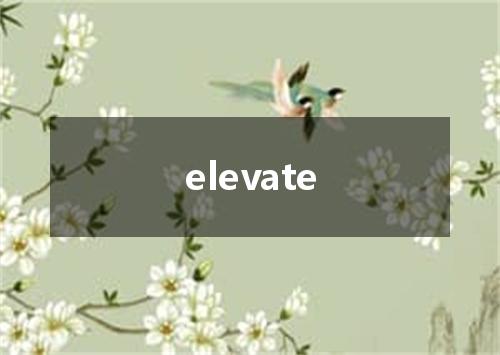 elevate是什么意思