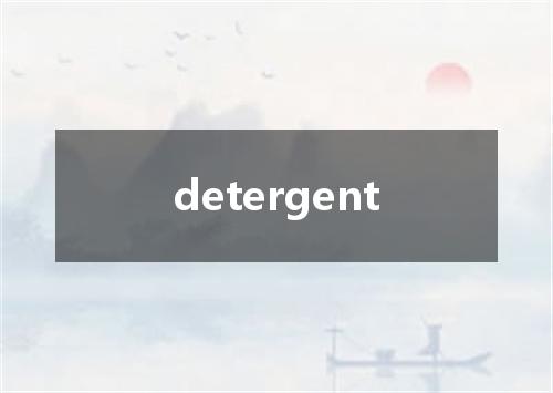 detergent是什么意思
