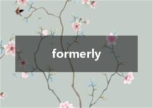 formerly是什么意思