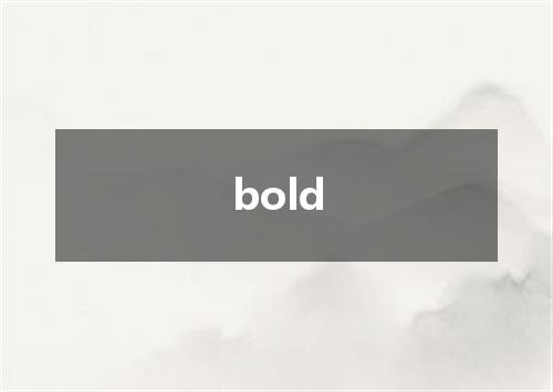 bold是什么意思
