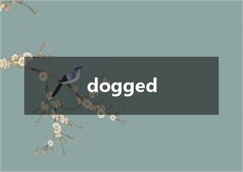 dogged是什么意思