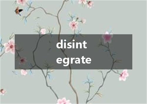 disintegrate是什么意思