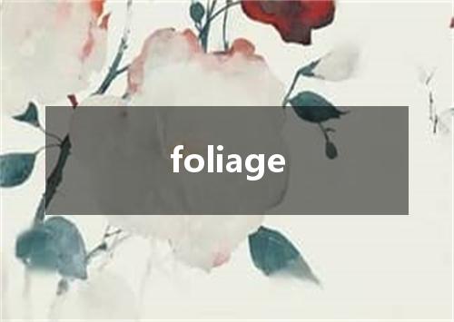 foliage是什么意思