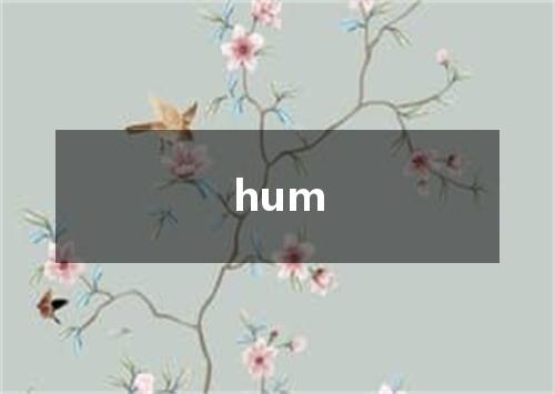 hum是什么意思