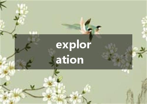 exploration是什么意思