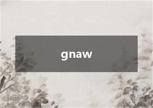 gnaw是什么意思
